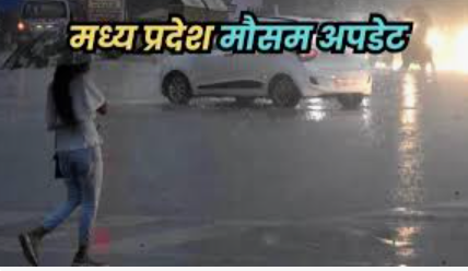 mp