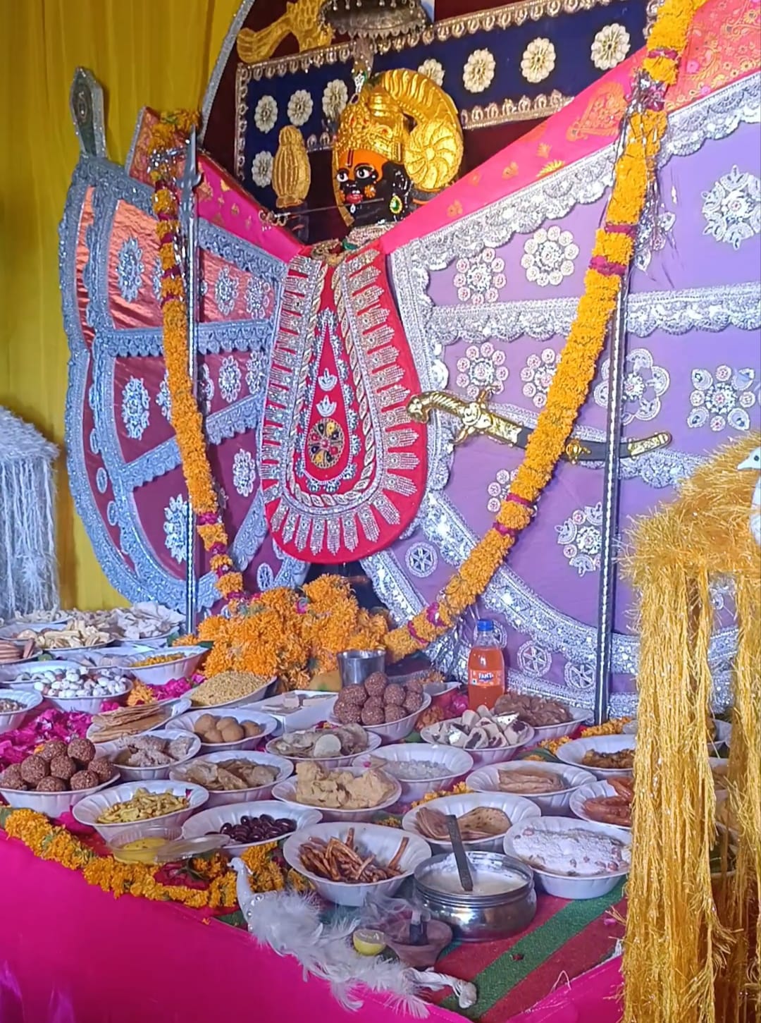 Nagda में सांवरिया सेठ के जयकारों से गूंजी गौशाला, शीतल योगी के भजनों पर देर रात तक झूमते रहे श्रद्धालु