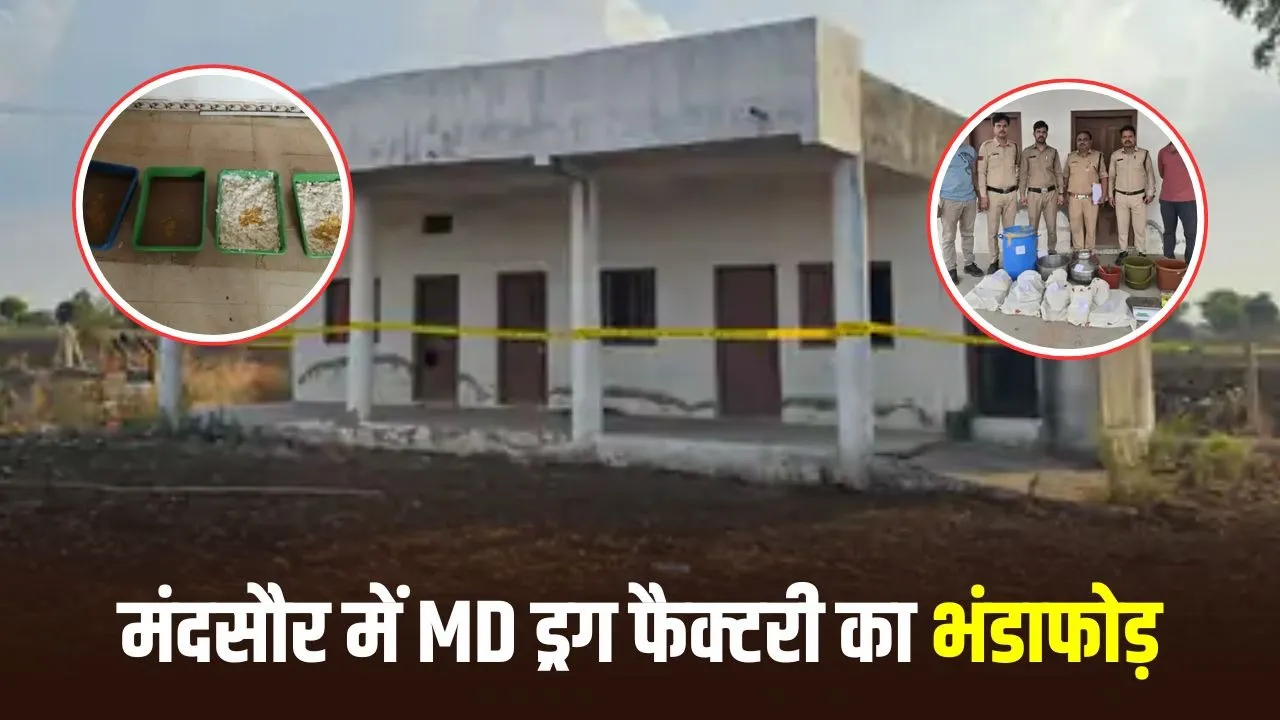 Mandsaur पुलिस की छापेमारी में 13 किलो से अधिक MD ड्रग बरामद, कीमत लगभग 14 करोड़ रुपये बताई गई है
