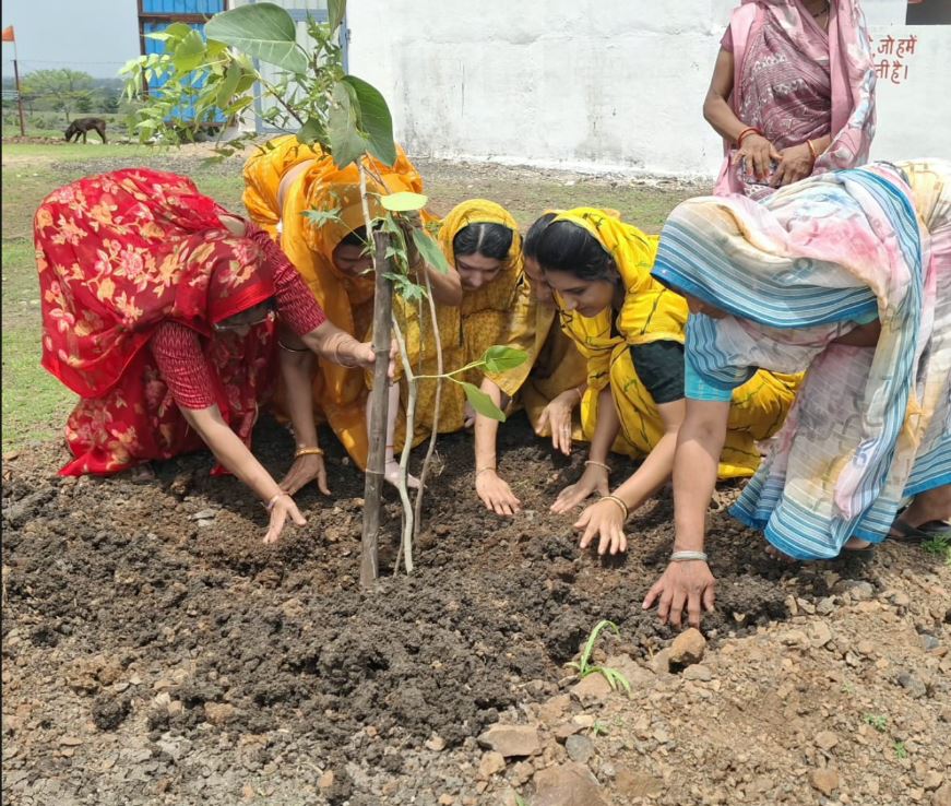 Manawar : "एक पेड़ गौमाता के नाम" अभियान बना जनआंदोलन, मनावर में गौसेवा और पर्यावरण संरक्षण का लिया संकल्प
