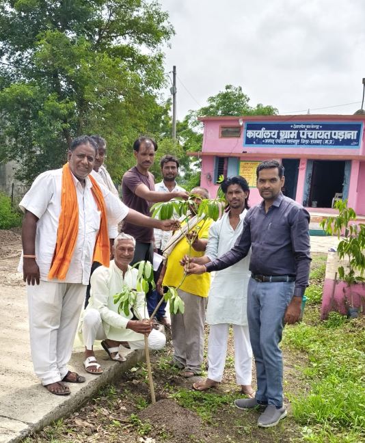 ग्राम पंचायत पडाना में ‘एक पेड़ मां के नाम’ अभियान के तहत हुआ पौधारोपण, संरक्षण का लिया संकल्प