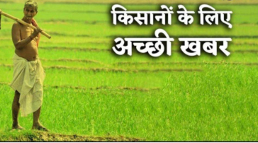 MP सरकार का बड़ा फैसला: अब धान पर भी भावांतर योजना लागू, 6.5 लाख किसानों को मिलेगा सीधा लाभ