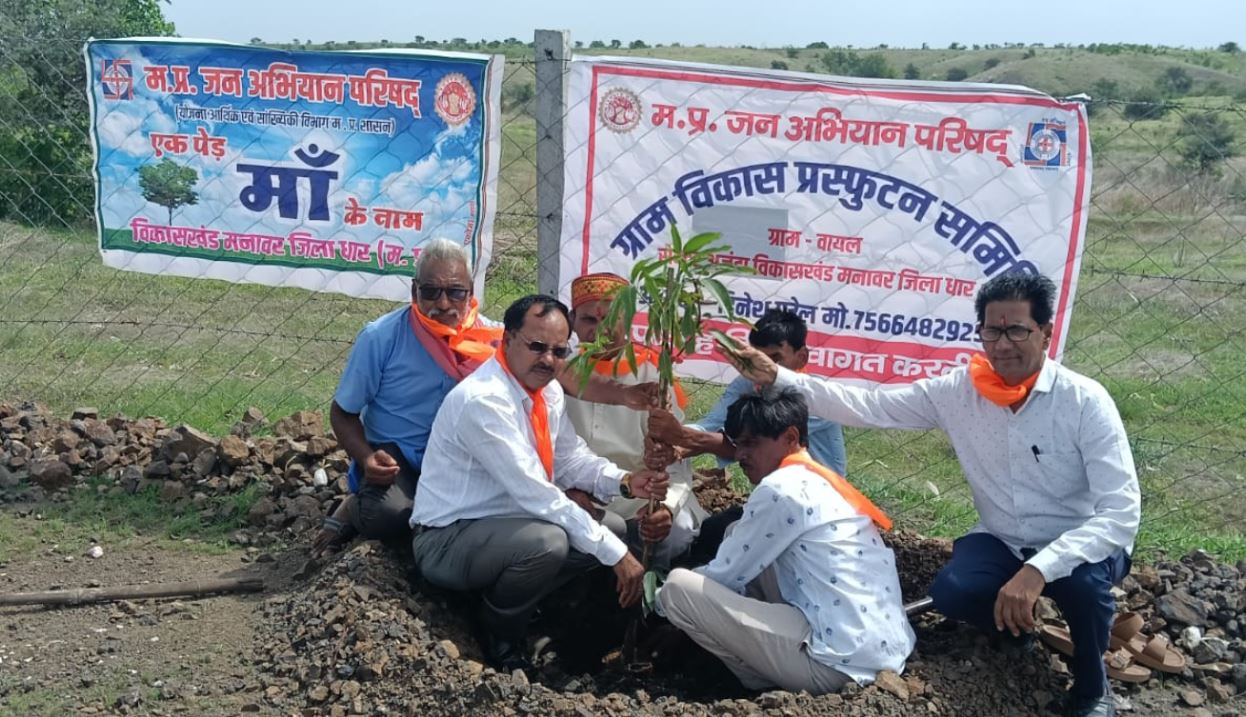 Manawar : हलहारिणी अमावस्या पर सिंगाजी गौशाला वायल में 21 त्रिवेणी सहित 64 पौधों का रोपण