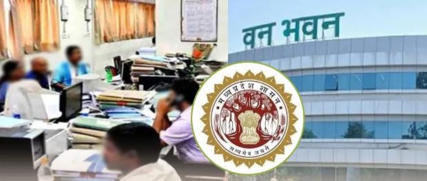 Madhya Pradesh वन विभाग में प्रमोशन को लेकर विवाद, कार्यवाहक अधिकारियों को बनाए रखने की मांग तेज