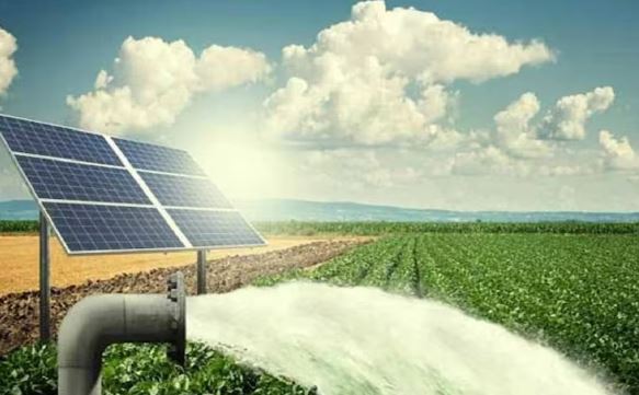 Free Irrigation Scheme: किसानों को सिंचाई में बड़ी राहत, मुफ्त बिजली और सोलर पंप से घटेगा खेती का खर्च