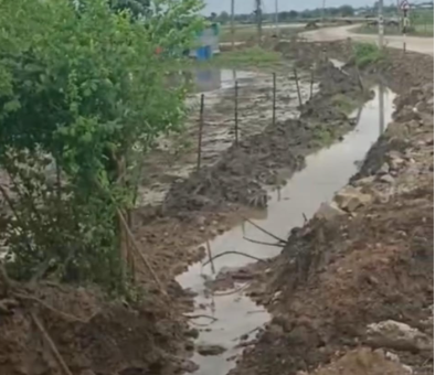 Sehore News: सड़क निर्माण के बाद जलभराव से किसान परेशान, 8 एकड़ में लगी सोयाबीन और मक्का की फसल खराब होने का खतरा