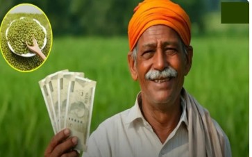 MP Moong Price Update: