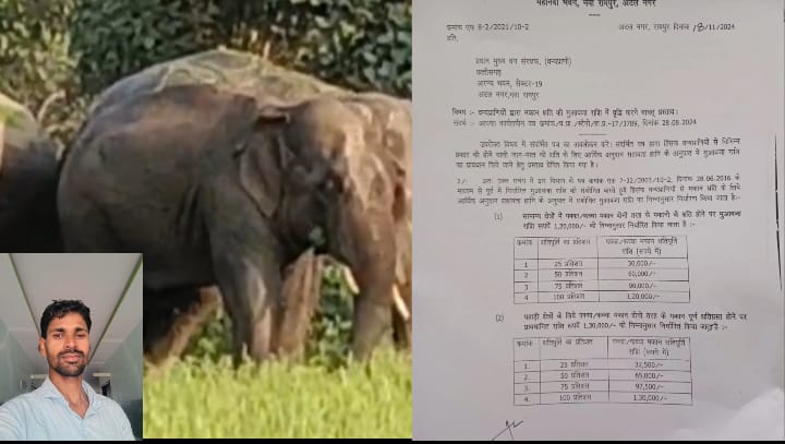 बड़ी मांग: हाथी प्रभावित गांव मुआवजा MP में छत्तीसगढ़ जैसा 1.30 लाख तक मिले, अनूपपुर के ग्रामीणों ने उठाई आवाज