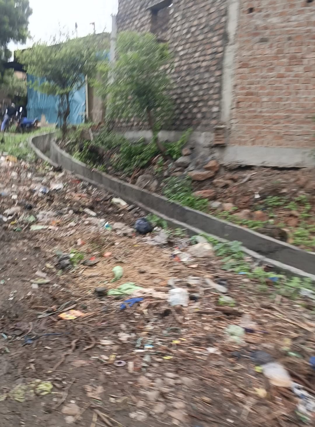 बछोड़िया में राजस्व विभाग की बड़ी लापरवाही: ‘2-3 दिन काम रोको, फिर चालू’ के खेल में खड़ा हो गया पक्का मकान!