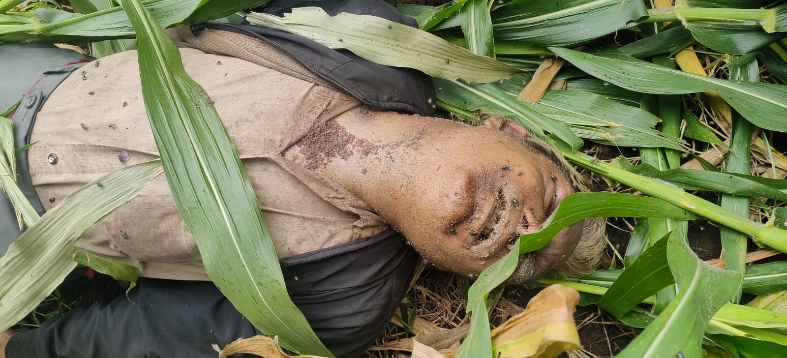 Dharampuri के हतनावर फाटे के पास मक्का के खेत में मिला 53 वर्षीय व्यक्ति का शव, मौत की गुत्थी सुलझाने में जुटी पुलिस