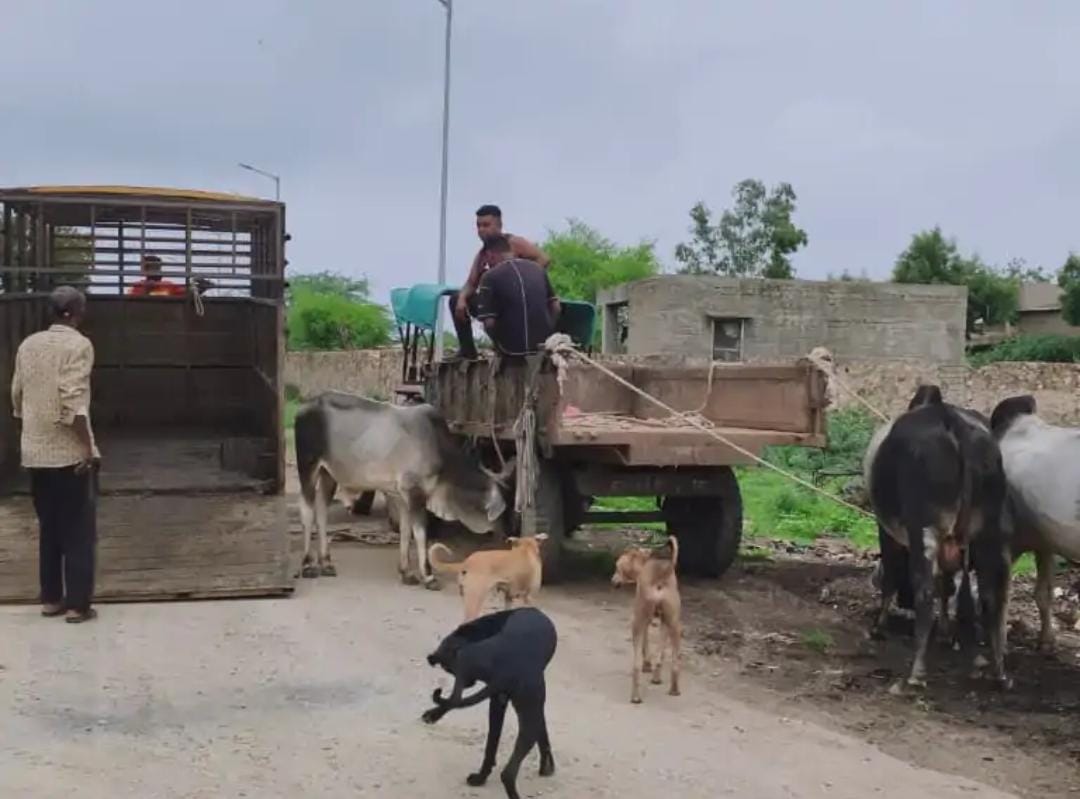 Bhinmal