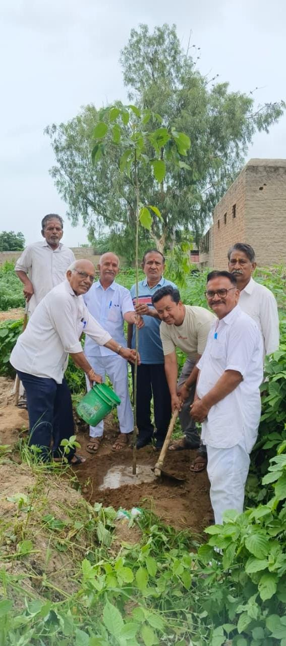 भीनमाल फाफरिया हनुमान विकास संस्थान वृक्षारोपण: 31 पौधों से हरियाली का प्रेरक अभियान