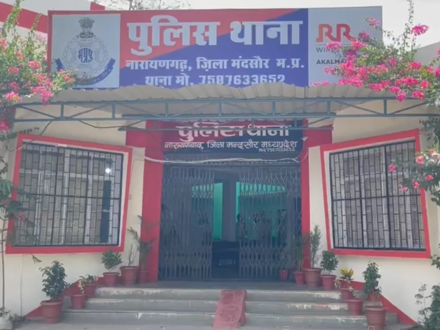 नारायणगढ़ पुलिस डोडाचूरा कार्रवाई: बड़ी सफलता, 100 किलो डोडाचूरा जब्त; ₹7.60 लाख का माल बरामद