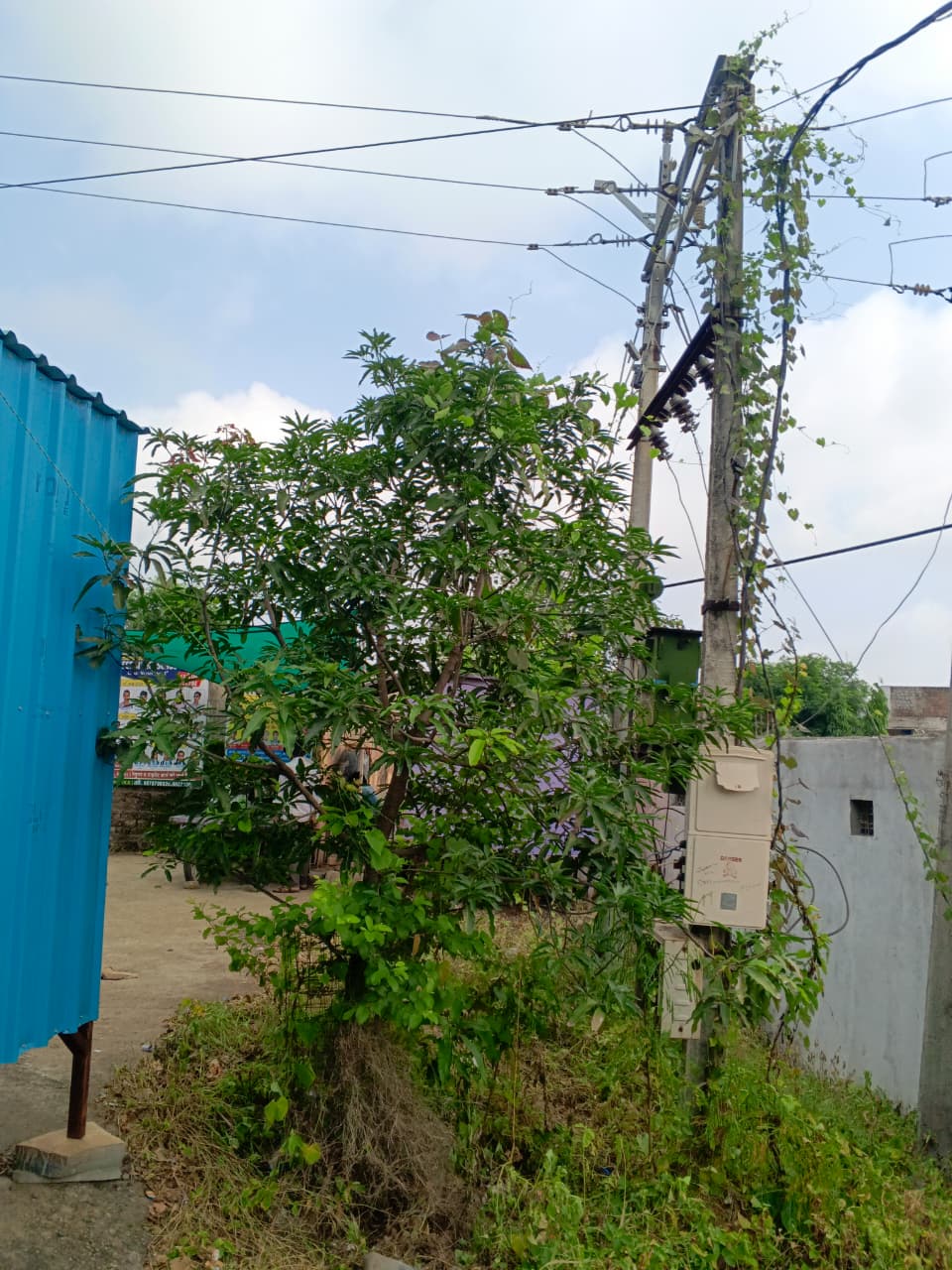 बछोड़िया बस स्टैंड से डीपी हटाने की मांग, ग्रामीणों ने विद्युत व्यवस्था सुधारने की उठाई आवाज