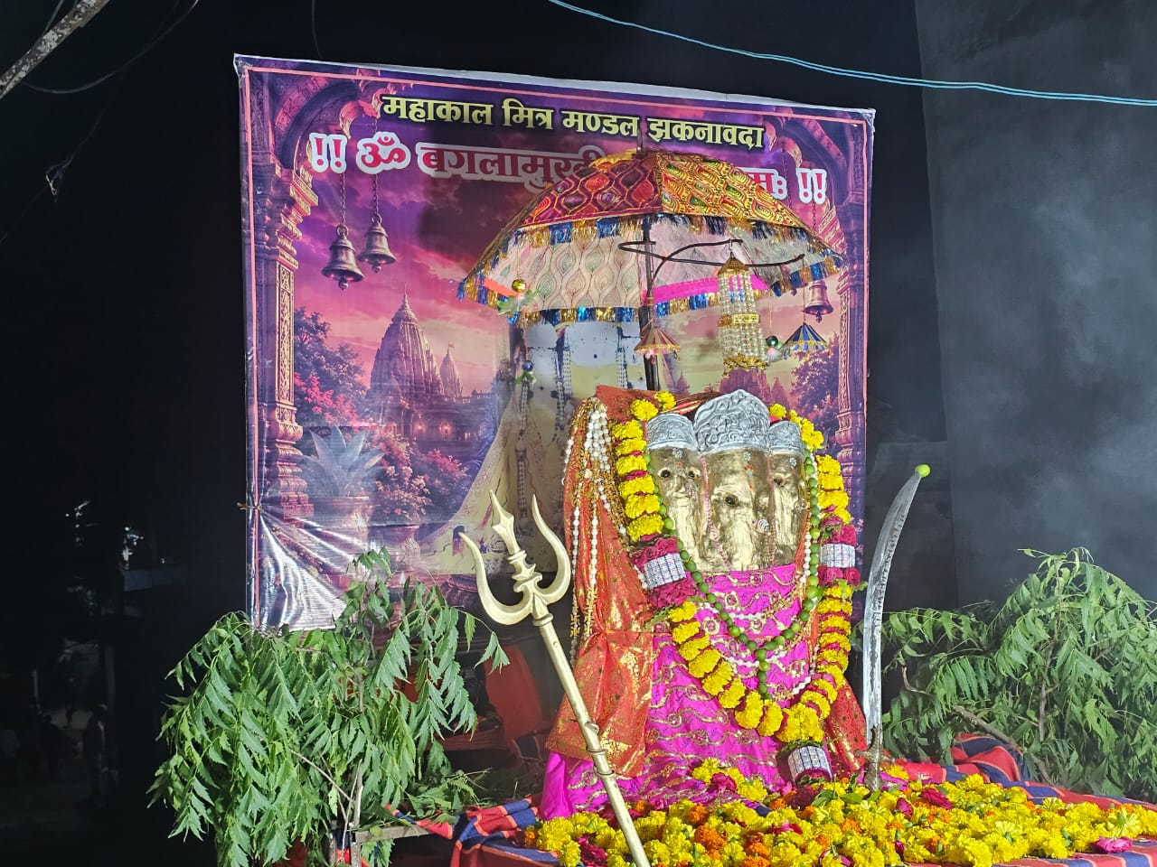 झकनावदा में श्रावण के अंतिम सोमवार पर उमड़ा आस्था का सैलाब, मां बगलामुखी की भव्य झांकी ने मोहा मन