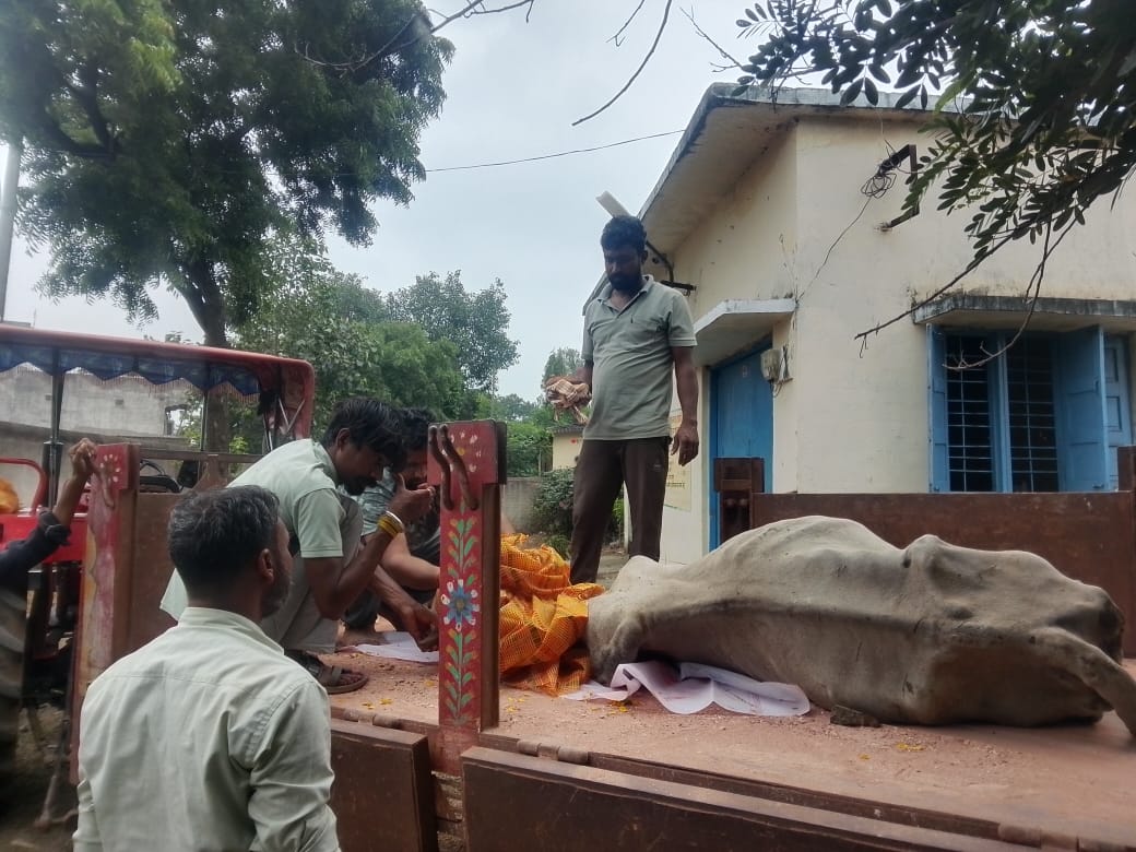 घायल नंदी ने उपचार के दौरान तोड़ा दम, झकनावदा में ढोल के साथ निकली भावुक अंतिम यात्रा