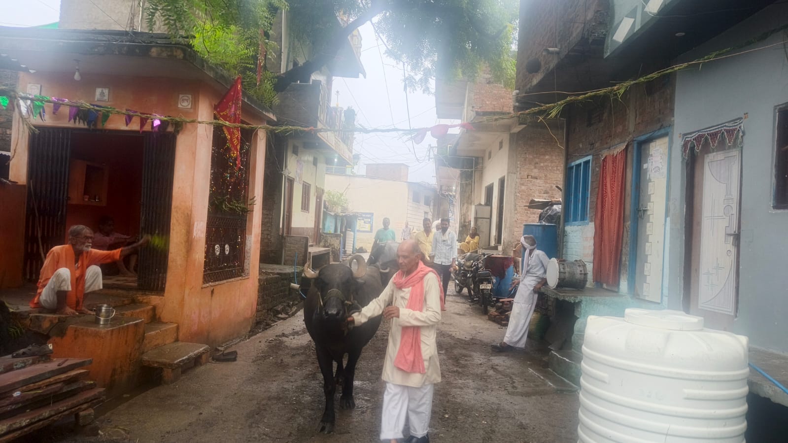 परंपरा: टाल वाली माता मंदिर से गुजरते हैं मवेशी, ग्रामीण मानते हैं सालभर निरोग रहने का आशीर्वाद