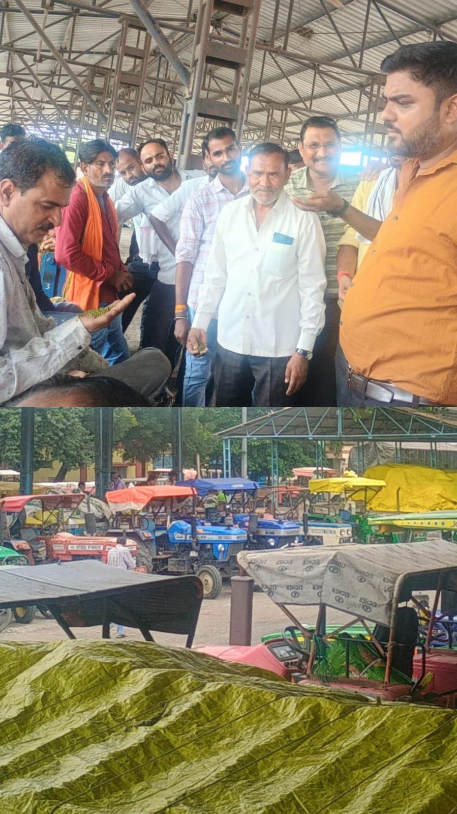 भेरूंदा मंडी में मूंग की आवक में जबरदस्त उछाल, सीमित सरकारी खरीद के बाद मंडी पहुंचे किसान; दामों में उतार-चढ़ाव जारी