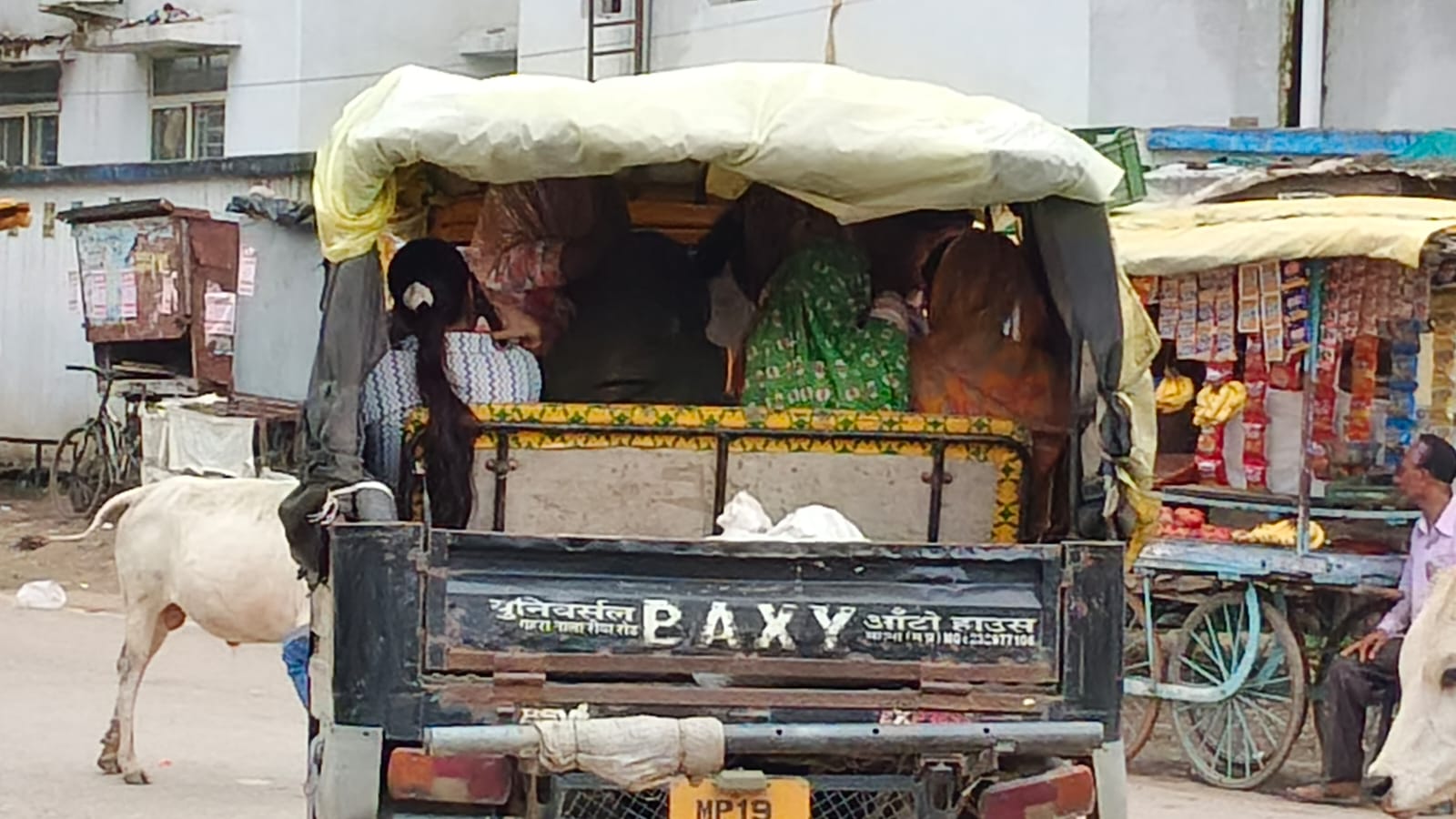 नागौद में क्षमता से ज्यादा सवारियां भर रहे ऑटो, यात्रियों की सुरक्षा पर उठे सवाल
