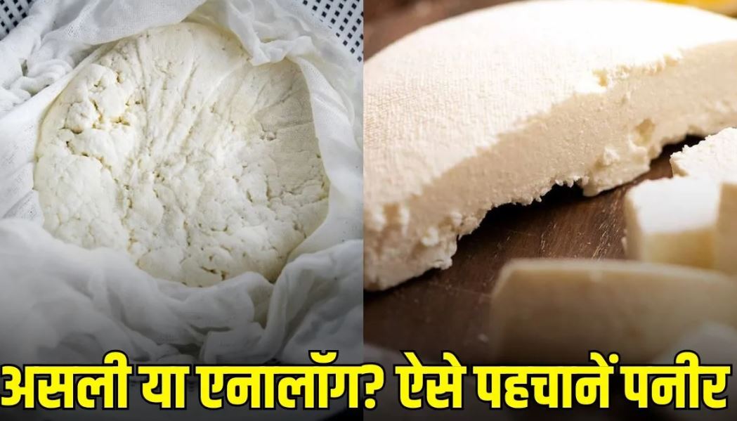 Tips to identify real paneer from analogue paneer and check ingredients before buying