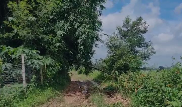 मऊगंज : पांच साल से अधूरी पड़ी 100 मीटर सड़क, ग्रामीणों ने उठाए जिम्मेदारों की कार्यप्रणाली पर सवाल