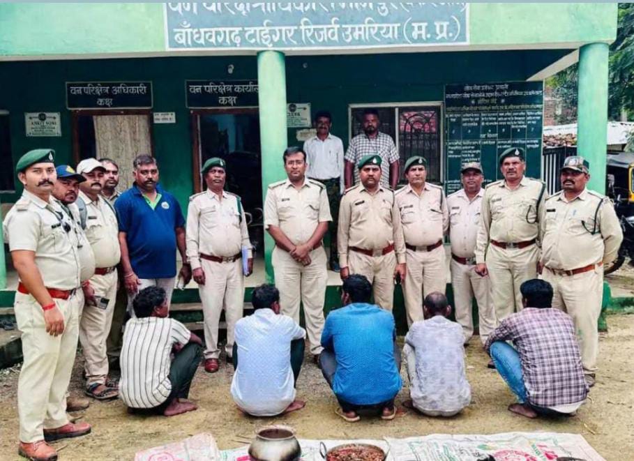 जंगली सुअर के अवैध शिकार मामले में 5 आरोपी गिरफ्तार, डॉग स्क्वॉड की मदद से दांत और बाल बरामद