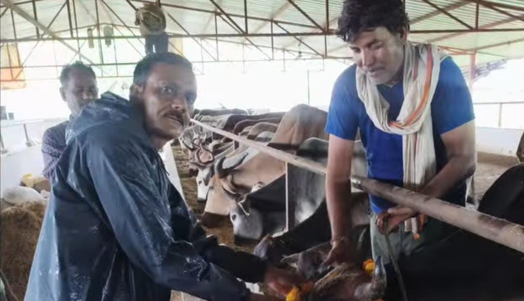 नईसराय क्षेत्र की सभी गौशालाओं में टीकाकरण अभियान शुरू, गायों को संक्रामक रोगों से बचाने की पहल
