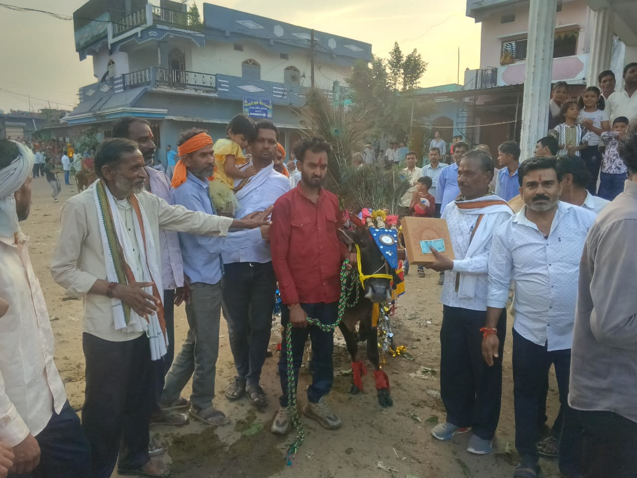 प्रभात पट्टन तहसील के गांवों में धूमधाम से मना पशुधन पोला पर्व