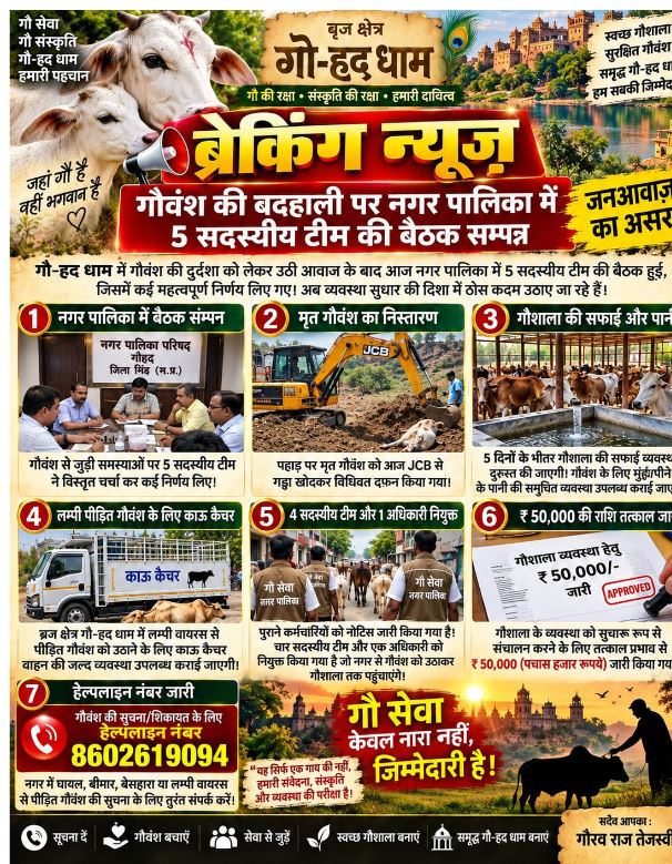 गौवंश की बदहाल व्यवस्था पर नगर पालिका में बैठक, सुधार के लिए बनी कार्ययोजना