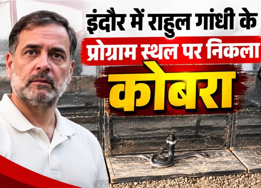 Indore Rahul Gandhi Program: VIP डोम में सांप दिखने से मचा हड़कंप, रेस्क्यू के बाद तैयारियां दोबारा शुरू