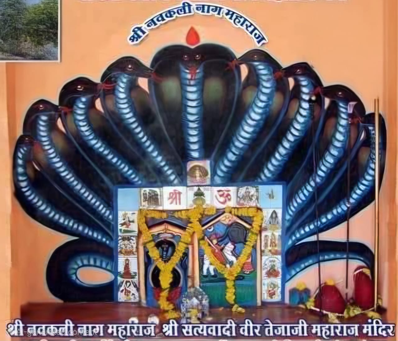 पाल्याकला में पारंपरिक तेजाजी मेले का भव्य शुभारंभ, तेजा दशमी पर उमड़ेगा आस्था का सैलाब