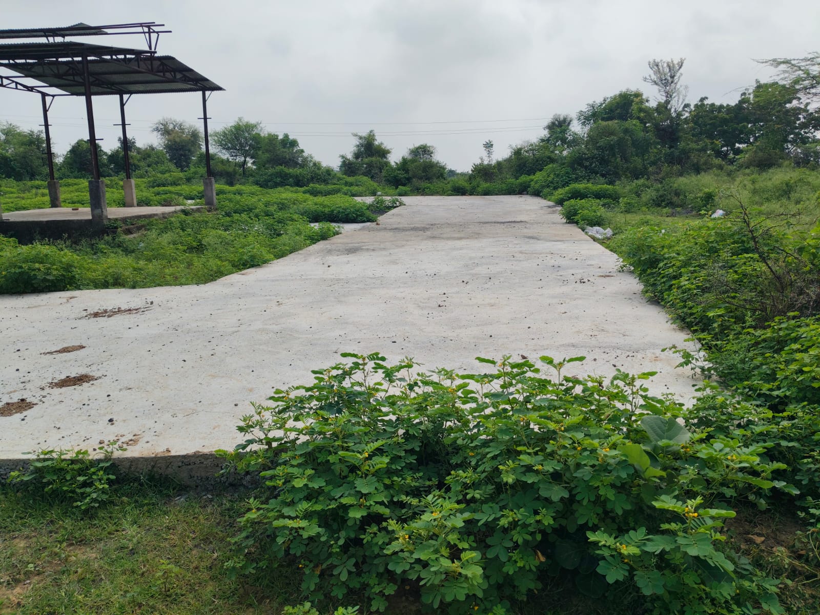 तंबोलिया में श्मशान घाट तक पहुंचने का रास्ता बदहाल, बारिश में पैदल चलना भी मुश्किल