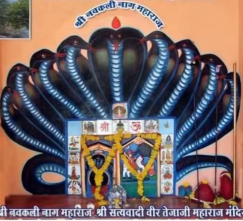 पाल्याकला में पारंपरिक तेजाजी मेले का शुभारंभ, तेजा दशमी पर बड़ी संख्या में श्रद्धालुओं के पहुंचने की उम्मीद