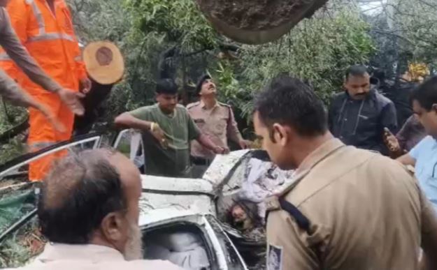 Indore News: चलती कार पर गिरा विशाल पेड़, डिप्टी कलेक्टर पूर्णिमा सिंघी की मां की मौत; दो लोग घायल
