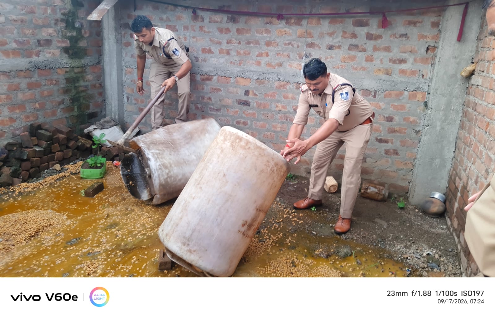 Singhana पुलिस की अवैध महुआ शराब के खिलाफ बड़ी कार्रवाई, 65 लीटर शराब जब्त