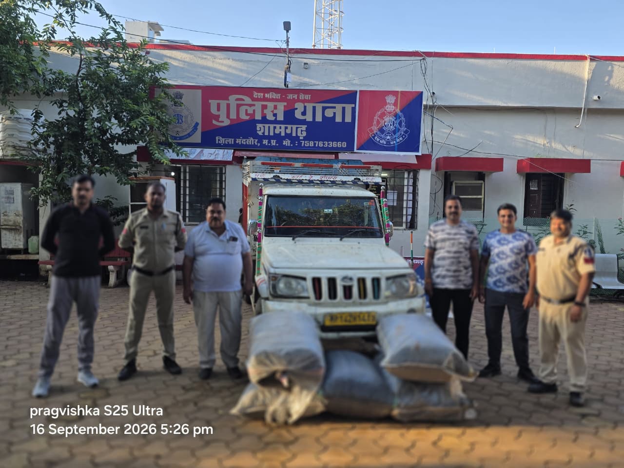 शामगढ़ पुलिस की बड़ी कार्रवाई: 100 किलो डोडाचूरा जब्त, 82 लाख का मश्रुका पकड़ा
