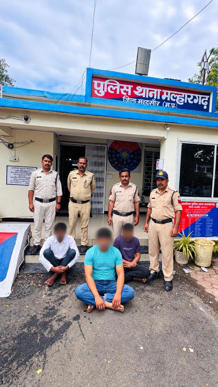 मल्हारगढ़ : 526 ग्राम एमडी ड्रग्स, 5.640 किलो डोडाचूरा और बाइक जब्त; एक आरोपी की तलाश जारी