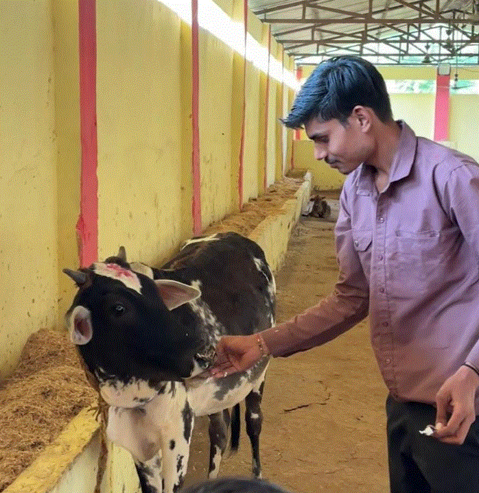 गौसेवा और कन्या भोज के साथ शरण साहू ने मनाया जन्मदिन