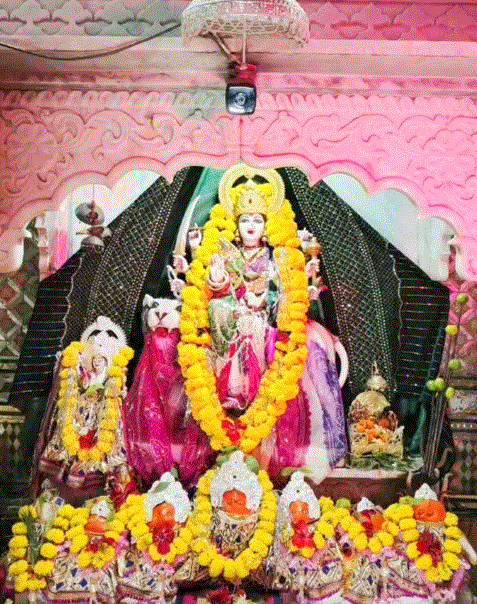 नवरात्रि में सजा मां वीजसन देवी का दरबार, 50 वर्षों से श्रद्धालुओं की आस्था का केंद्र — दैनिक स्वराज वाणी