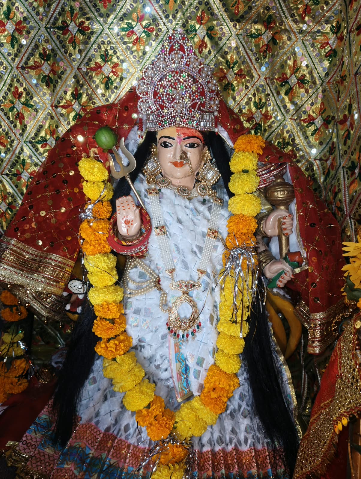 मंदिरों से घरों तक गूंजे माता के जयकारे, पड़ाना में जगह-जगह हुई घट स्थापना, चल समारोह के साथ पहुंची मां दुर्गा की प्रतिमा